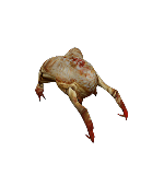 Monster